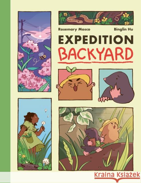 Expedition Backyard: Exploring Nature from Country to City (a Graphic Novel) Rosemary Mosco Binglin Hu 9780593127346 Random House Graphic