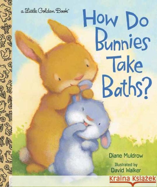 How Do Bunnies Take Baths? Diane Muldrow David Walker 9780593127773 Golden Books