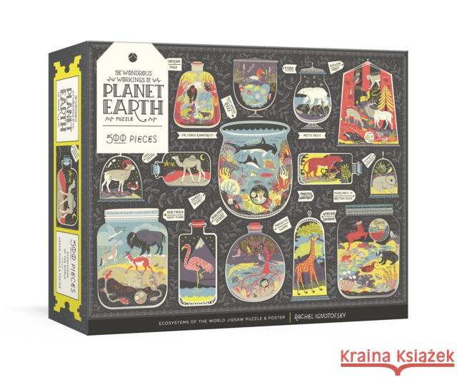 The Wondrous Workings of Planet Earth Puzzle: Ecosystems of the World 500-Piece Jigsaw Puzzle and Poster: Jigsaw Puzzles for Adults and Jigsaw Puzzles Ignotofsky, Rachel 9780593135020 Clarkson Potter Publishers