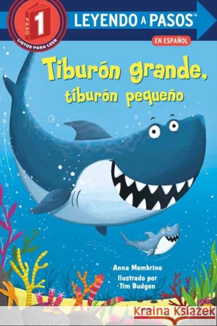 Tiburón Grande, Tiburón Pequeño (Big Shark, Little Shark Spanish Edition) Membrino, Anna 9780593174241 Random House Books for Young Readers
