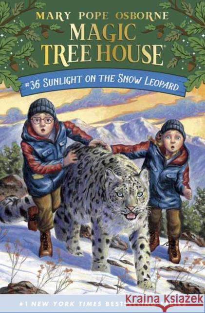 Sunlight on the Snow Leopard Mary Pope Osborne Ag Ford 9780593177501