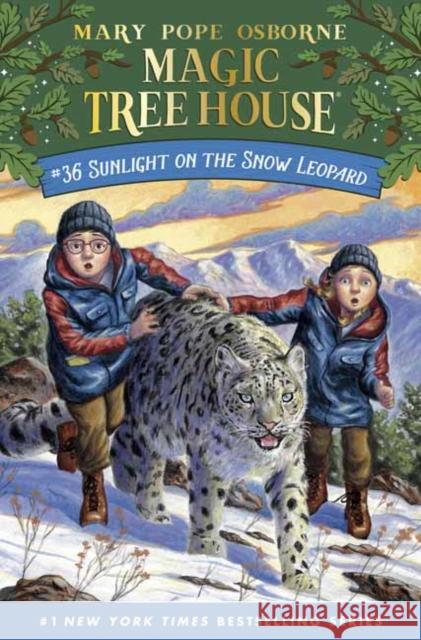 Sunlight on the Snow Leopard Mary Pope Osborne 9780593177532