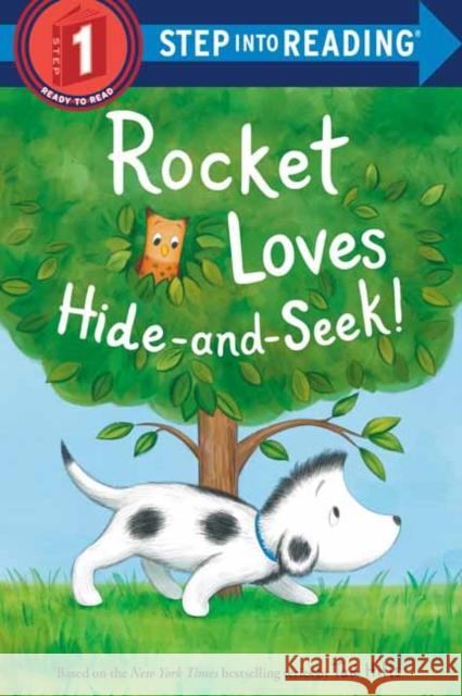 Rocket Loves Hide-and-Seek! Tad Hills 9780593177891 Random House Books for Young Readers