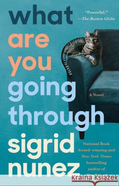 What Are You Going Through: A Novel Sigrid Nunez 9780593191422