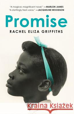 Promise Rachel Eliza Griffiths 9780593241943 Random House Trade