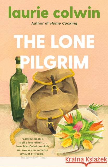 Lone Pilgrim Laurie Colwin 9780593313565 Vintage