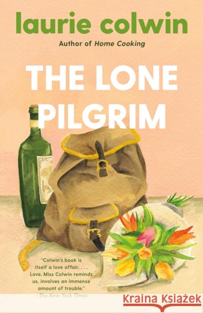 The Lone Pilgrim Laurie Colwin 9780593313565 Vintage