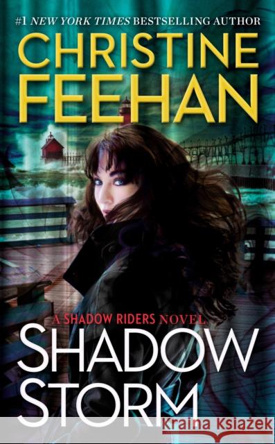 Shadow Storm Christine Feehan 9780593333129 Berkley Books