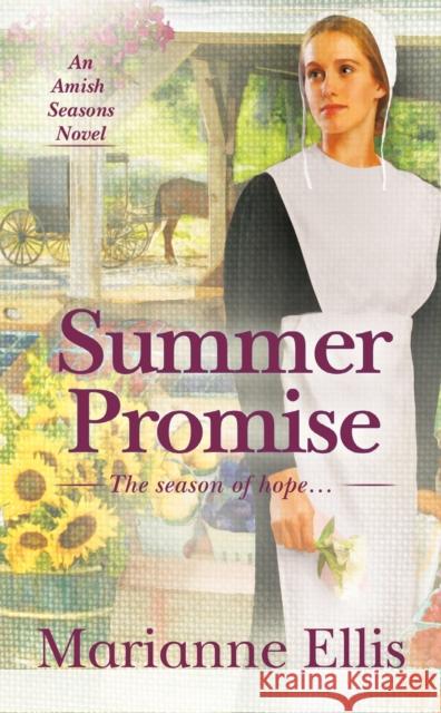 Summer Promise Marianne Ellis 9780593334881