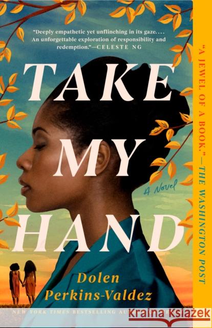 Take My Hand Dolen Perkins-Valdez 9780593337714 Berkley Books