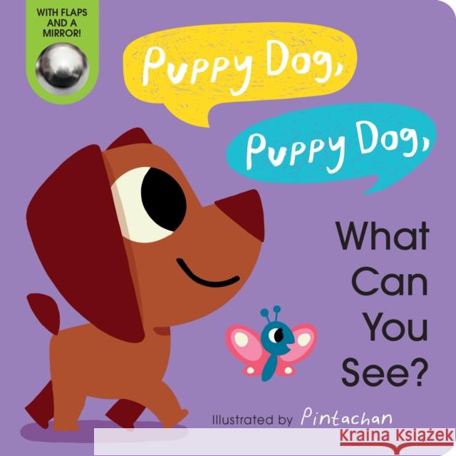 Puppy Dog, Puppy Dog, What Can You See? Amelia Hepworth, Pintachan 9780593379219 Random House USA Inc