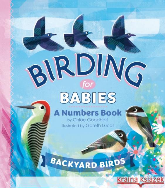 Birding for Babies: Backyard Birds: A Numbers Book Goodhart, Chloe 9780593386989