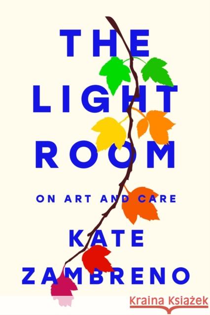 The Light Room Kate Zambreno 9780593421062 Riverhead Books