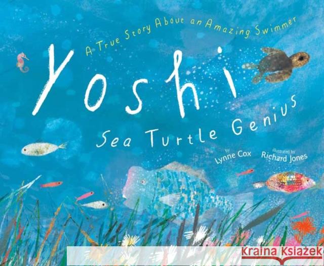 Yoshi, Sea Turtle Genius: A True Story about an Amazing Swimmer Cox, Lynne 9780593425688