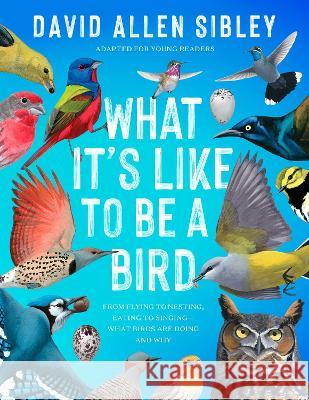 What It\'s Like to Be a Bird (Adapted for Young Readers): From Flying to Nesting, Eating to Singing--What Birds Are Doing, and Why David Allen Sibley 9780593430194 Delacorte Press