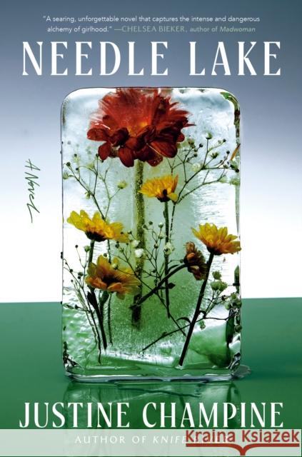 Needle Lake: A Novel Justine Champine 9780593447239 Dial Press