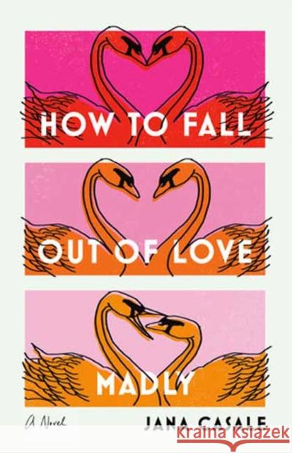 How to Fall Out of Love Madly Jana Casale 9780593447741 Dial Press