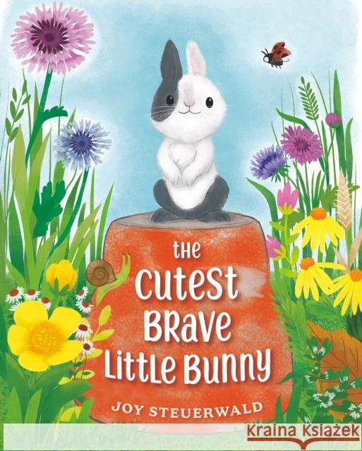 The Cutest Brave Little Bunny Joy Steuerwald 9780593462706