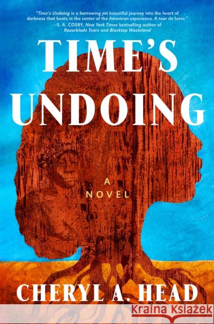 Time's Undoing: A Novel Cheryl A. Head 9780593471821