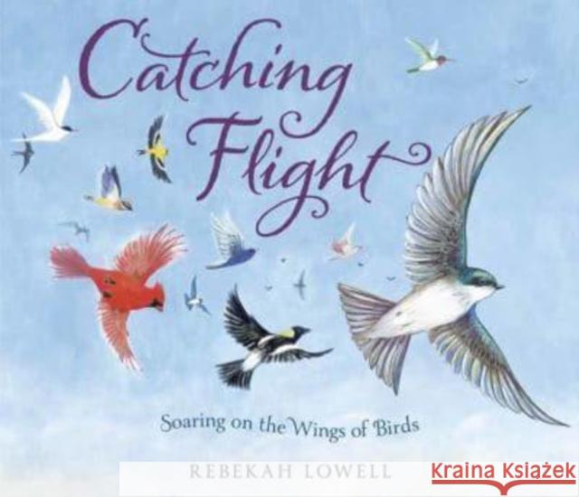 Catching Flight: Soaring on the Wings of Birds Rebekah Lowell 9780593487099