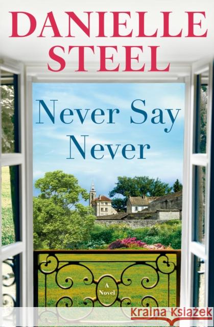 Never Say Never Danielle Steel 9780593498644 Delacorte Press