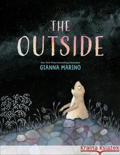 The Outside Gianna Marino Gianna Marino 9780593528778