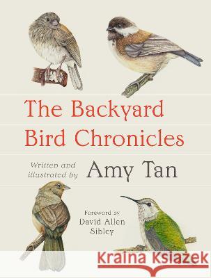 The Backyard Bird Chronicles Amy Tan David Allen Sibley 9780593536131