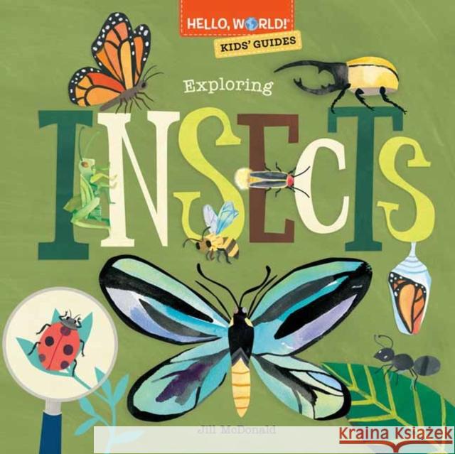 Hello, World! Kids' Guides: Exploring Insects Jill McDonald 9780593568224