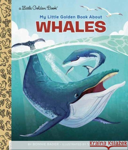 My Little Golden Book About Whales Steph Laberis 9780593569849