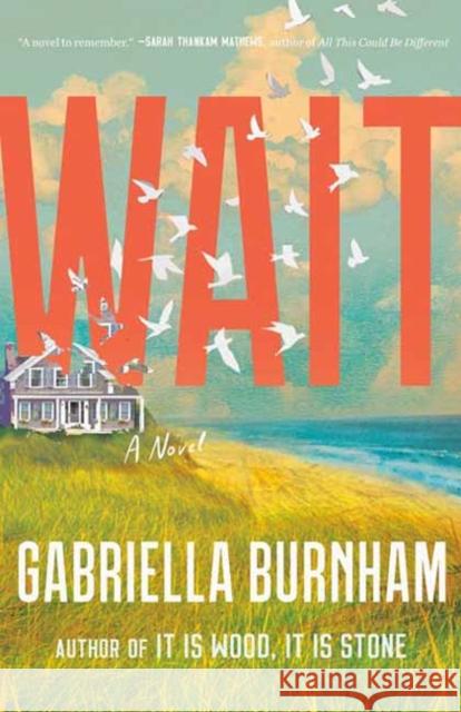 Wait Gabriella Burnham 9780593596524 One World