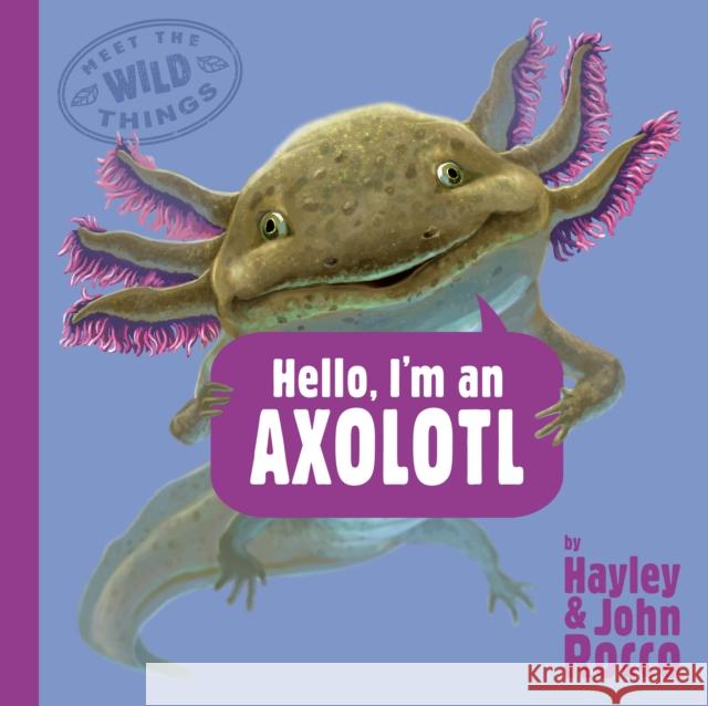 Hello, I'm an Axolotl (Meet the Wild Things, Book 4) Hayley Rocco John Rocco 9780593618219 G.P. Putnam's Sons Books for Young Readers