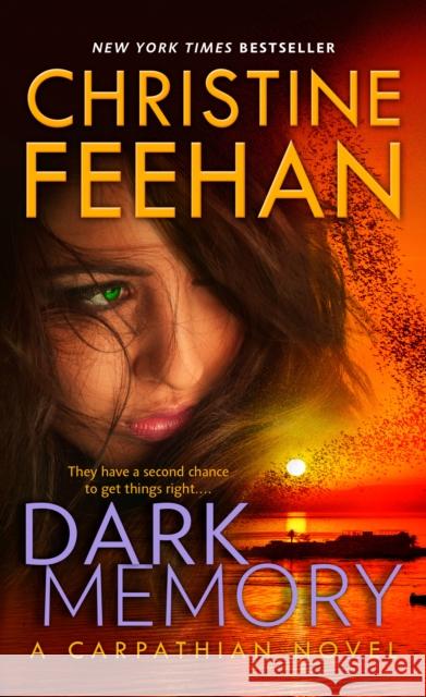 Dark Memory Christine Feehan 9780593638750