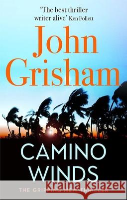 The Listeners Maggie Stiefvater 9780593655504 Viking