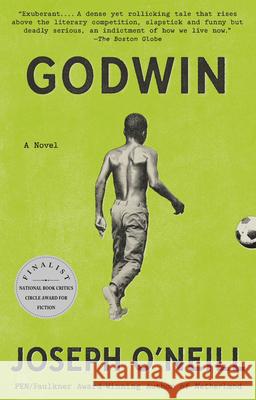 Godwin: A Novel  9780593687154 Vintage