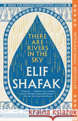 There Are Rivers in the Sky Elif Shafak 9780593687567 Vintage