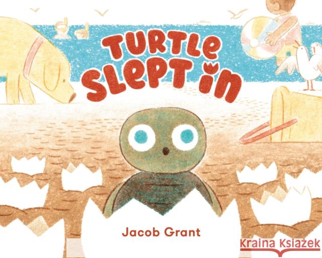 Turtle Slept In Jacob Grant 9780593695012 Viking Books for Young Readers