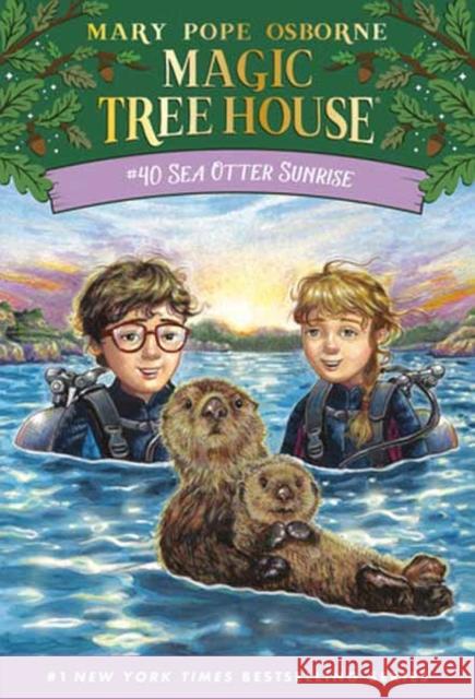 Sea Otter Sunrise A.G. Ford 9780593706541 Random House Books for Young Readers