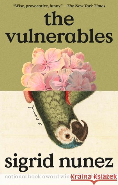 The Vulnerables Sigrid Nunez 9780593715529