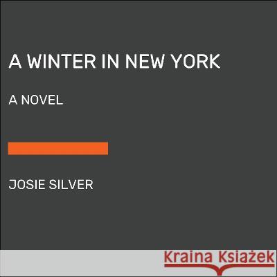 A Winter in New York Josie Silver 9780593793633 Random House Large Print Publishing