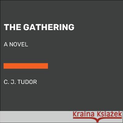 The Gathering C. J. Tudor 9780593793640 Random House Large Print Publishing