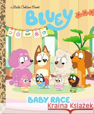 Baby Race (Bluey) Golden Books 9780593811122 Golden Books