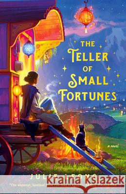 The Teller of Small Fortunes Julie Leong 9780593815915