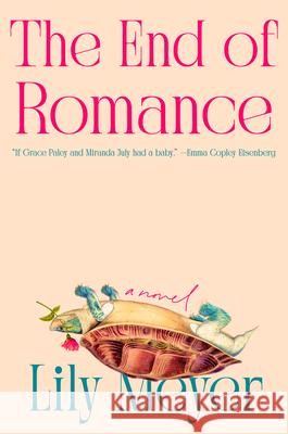 The End of Romance Lily Meyer 9780593835142 Viking