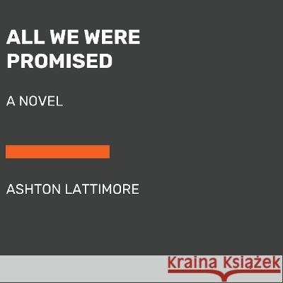 All We Were Promised Ashton Lattimore 9780593861820 Random House Large Print Publishing