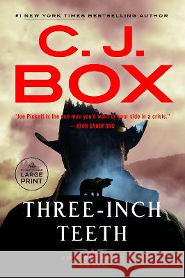 Three-Inch Teeth C. J. Box 9780593862339 Random House Large Print Publishing
