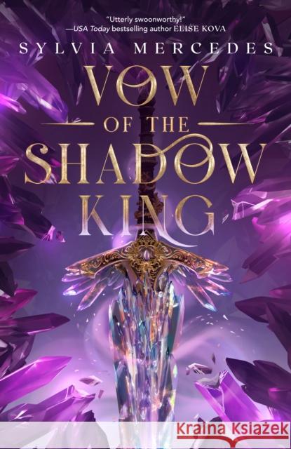 Vow Of The Shadow King  9780593952214 Ace Books