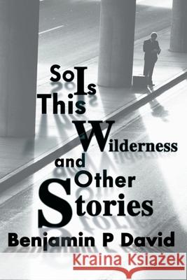 So is This Wilderness and Other Stories Benjamin P. David 9780595127924 Writers Club Press