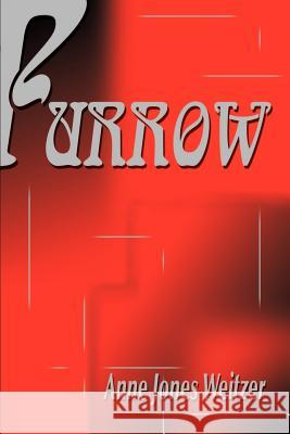 Furrow Anne Jones Weitzer 9780595133062 Writers Club Press