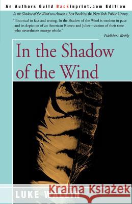 In the Shadow of the Wind Luke Wallin 9780595192434 Backinprint.com