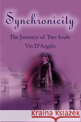 Synchronicity: The Journeys of Two Souls D'Angelo, Vin 9780595194650 Writers Club Press